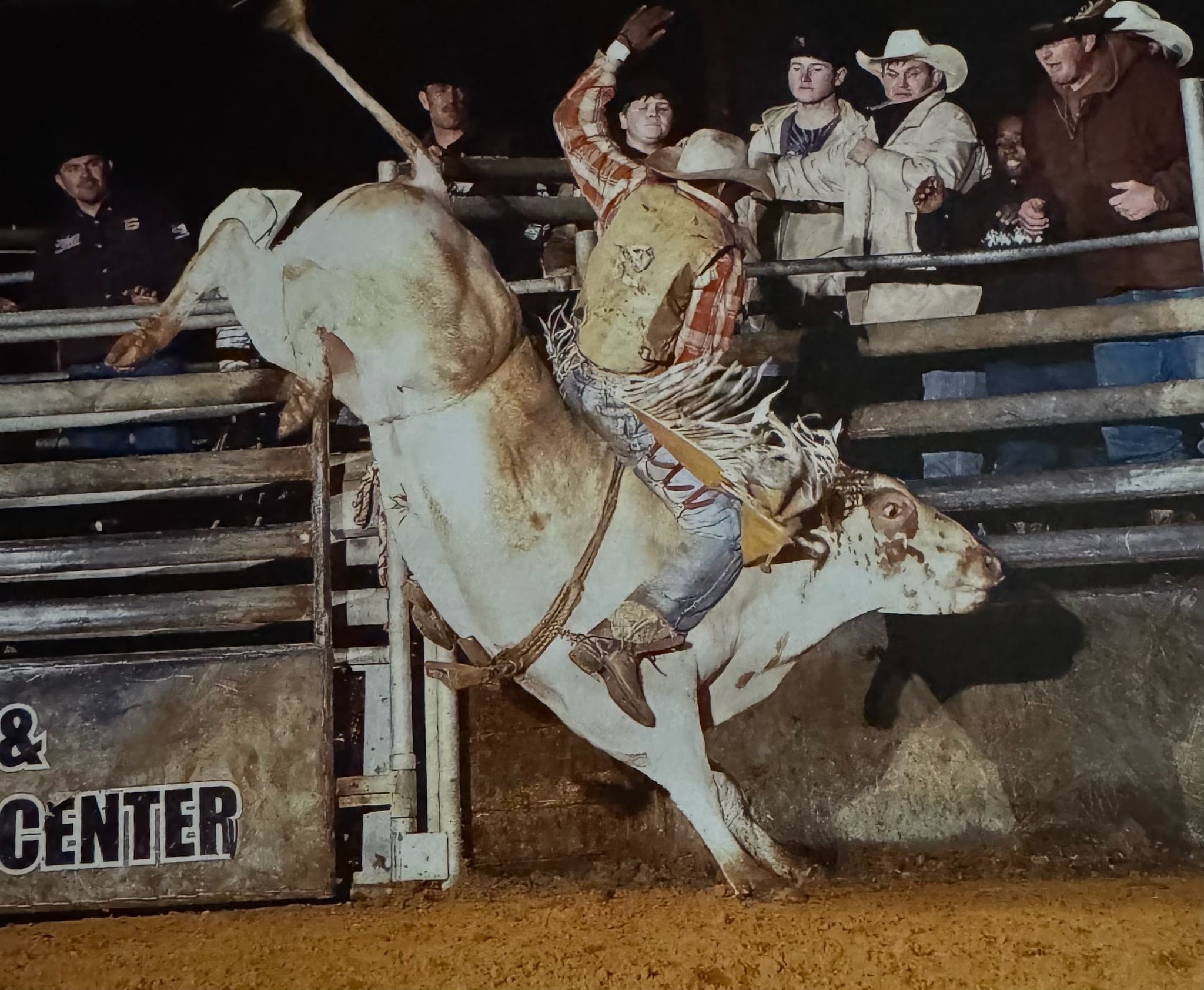 Tom Peterson's cattle ranching and PBR bull breeding years