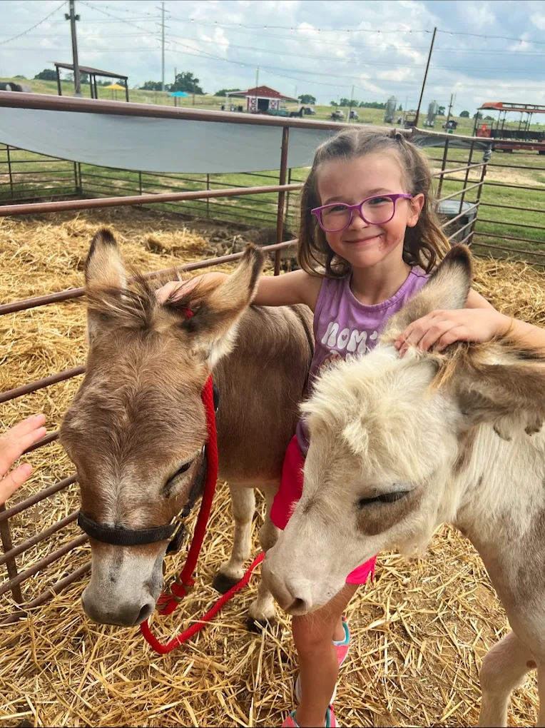 Families enjoying a fall day of farm activities at Ruby Creek near Fort Worth